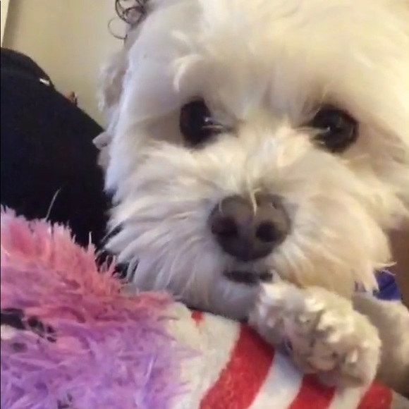 Don't be Afraid to Make an OFFER ! 🖤🖤 - Picture 8 of 8